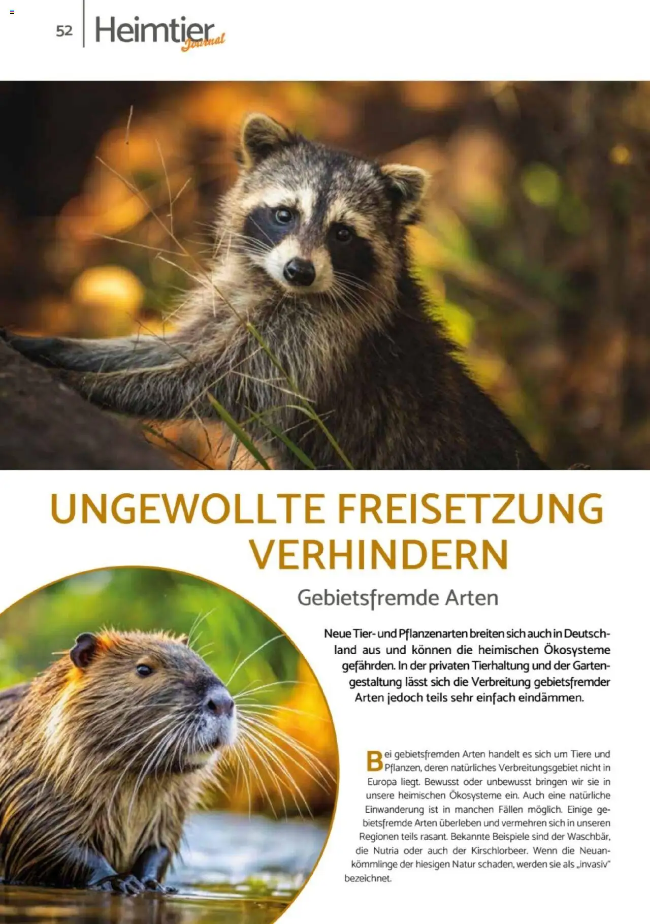 zookauf Heimtier Journal – gültig ab 01.10.2025 | Seite: 52