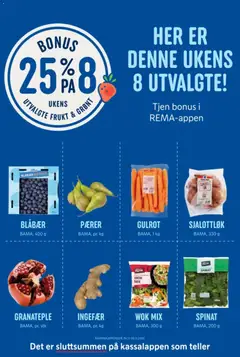 Forhåndsvisning av Rema 1000 kundeavis gyldig fra 24.11.2025 | Side: 13