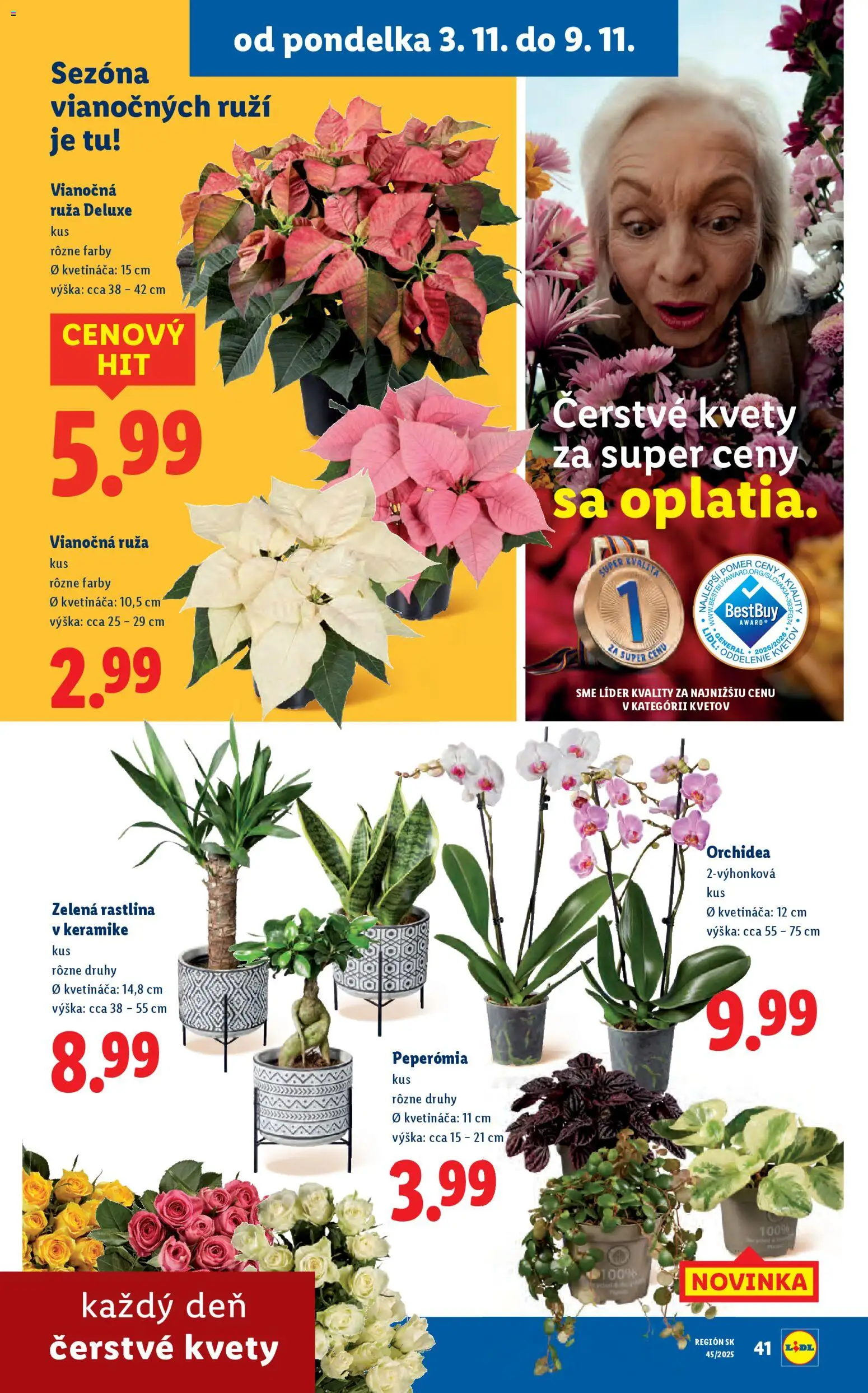 Nové Lidl akcie – leták je platný od 06.11.2025 | Strana: 79 | Produkty: Kvety, Orchidea