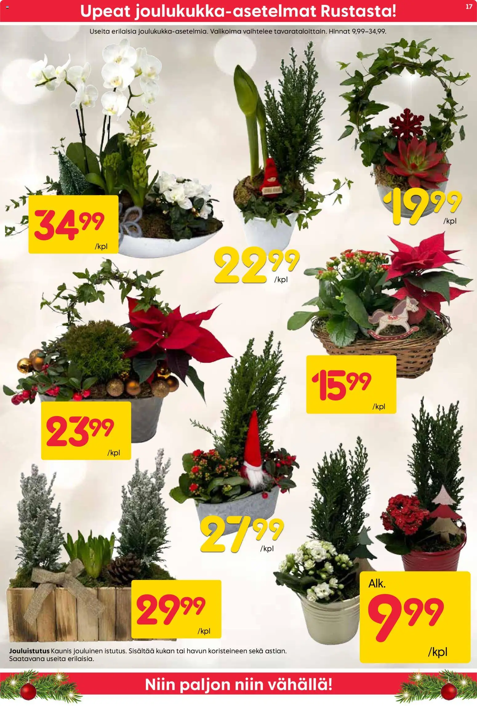 Rusta tarjoukset – voimassa 15.12.2025 alkaen | Sivu: 17