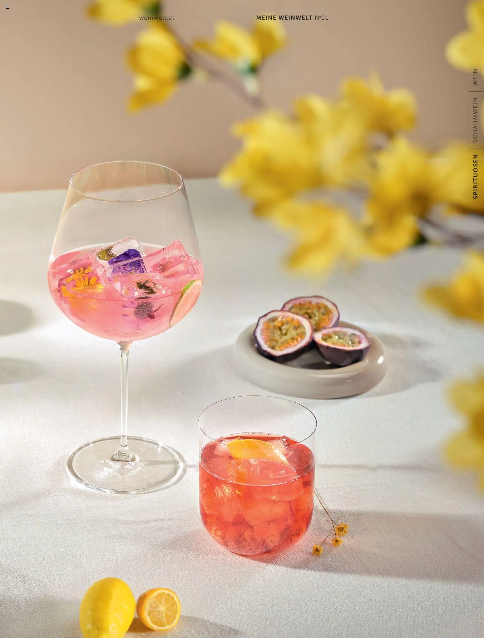 Interspar Meine Weinwelt Frühling 2026 gültig ab 05.03.2026 | Seite: 51 | Produkte: Wein