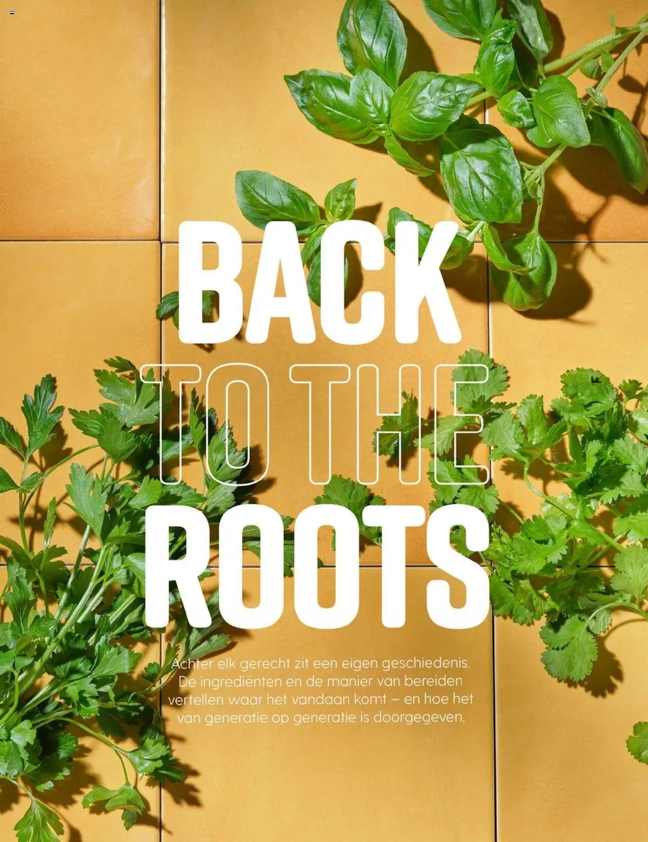 {H1} | Pagina: 8 | Producten: Citrompótló tabletta