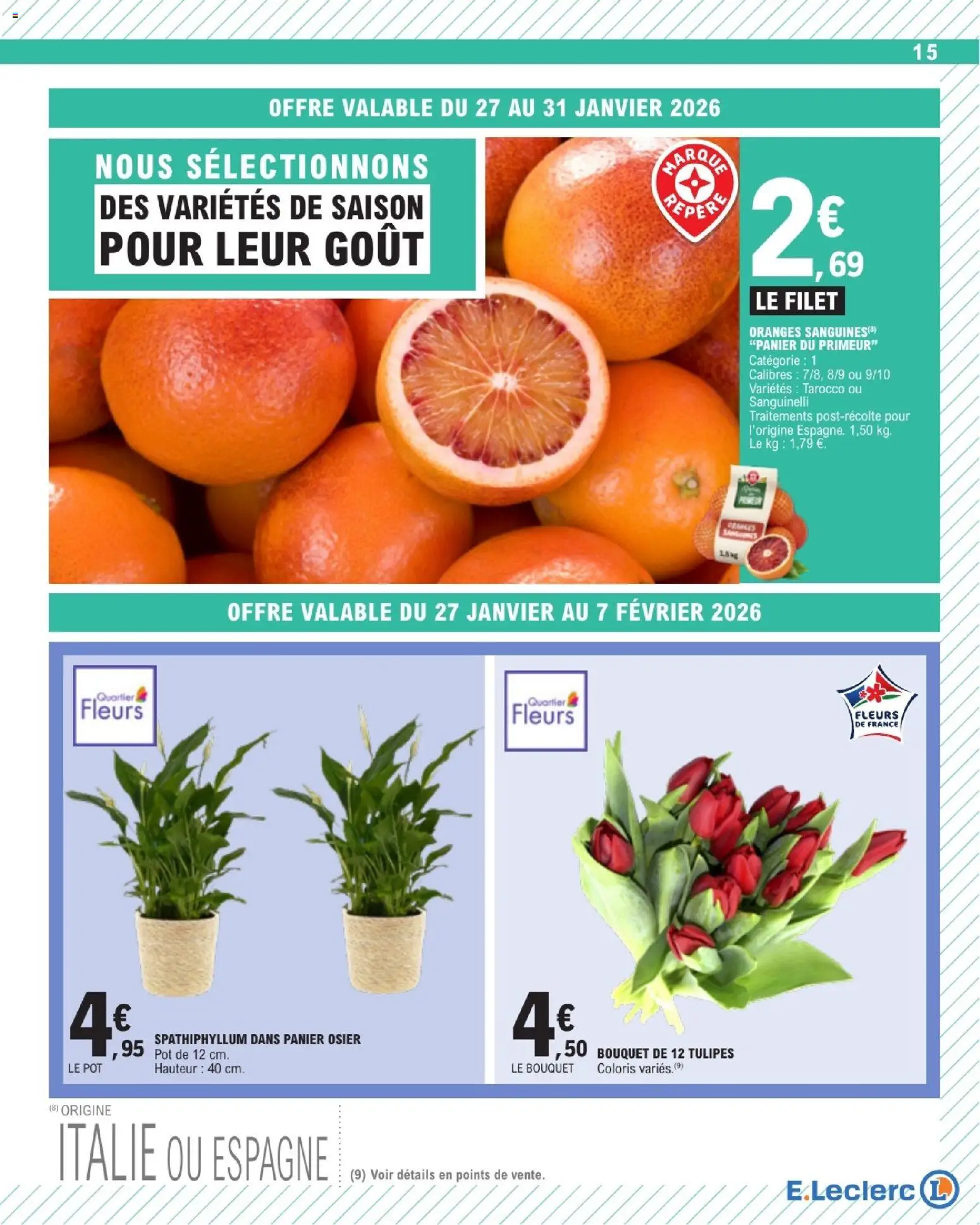 {H1} | Page: 15 | Produits: Tulipes, Panier, Oranges