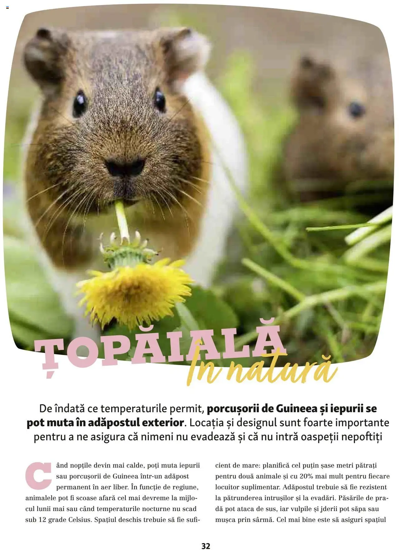Catalog Fressnapf - Vară – valabil de la 05.05.2025 | Pagină: 32 | Produse: Șapă