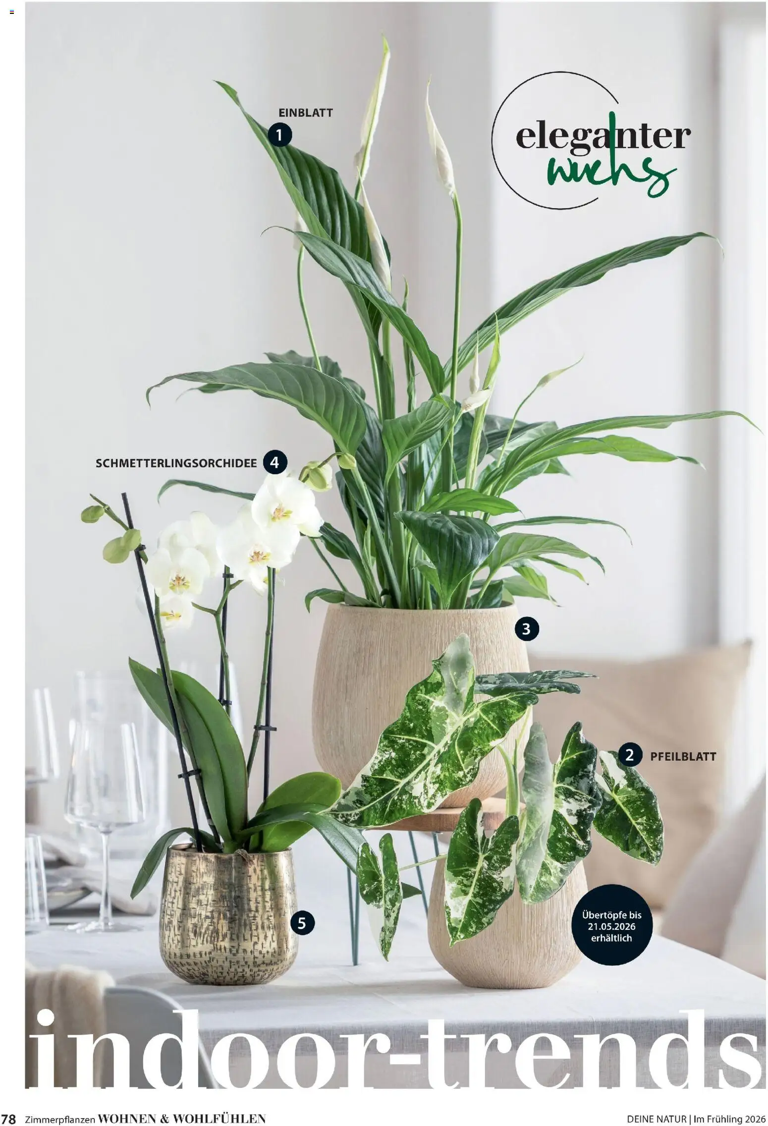 Dehner Flugblatt gültig ab 05.03.2026 | Seite: 78