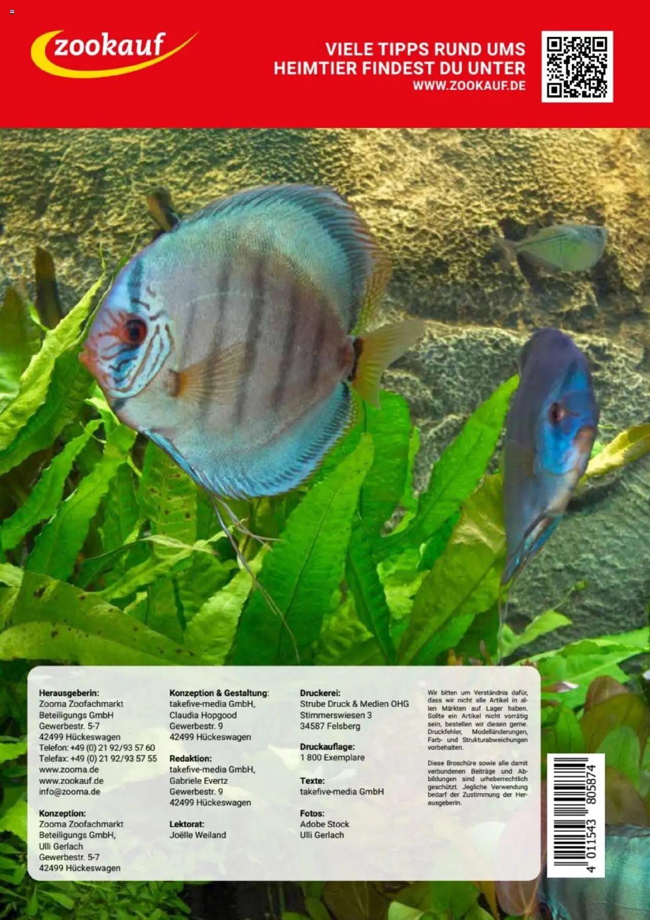 zookauf Themenkatalog Aquaristik – gültig ab 01.10.2025 | Seite: 56