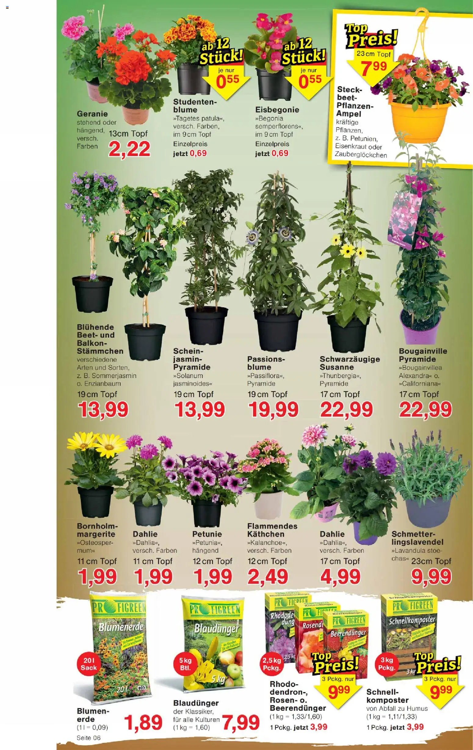 Jawoll Prospekt 	 – gültig ab 20.04.2026 | Seite: 6 | Produkte: Blumen, Blumenerde