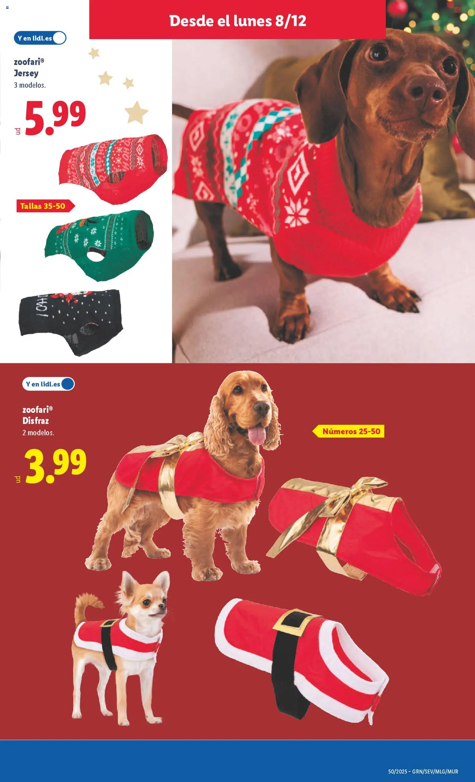 Lidl folleto de bazar │ válido desde el 08.12.2025 | Página: 21