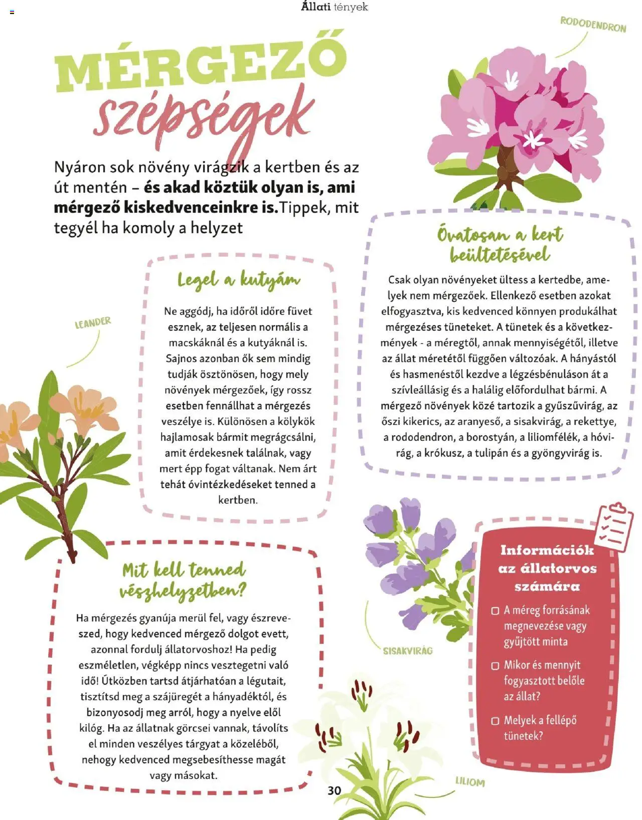 Fressnapf akciós ujság - amely érvényes a következő dátumtól: 05.05.2025 | Oldal: 30 | Termékek: Rododendron, Fellépő, Tulipán
