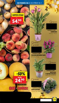 Lidl leták od 28.07.2025 | Strana: 9 | Produkty: Meloun, Broskve, Rostliny, Kurkuma