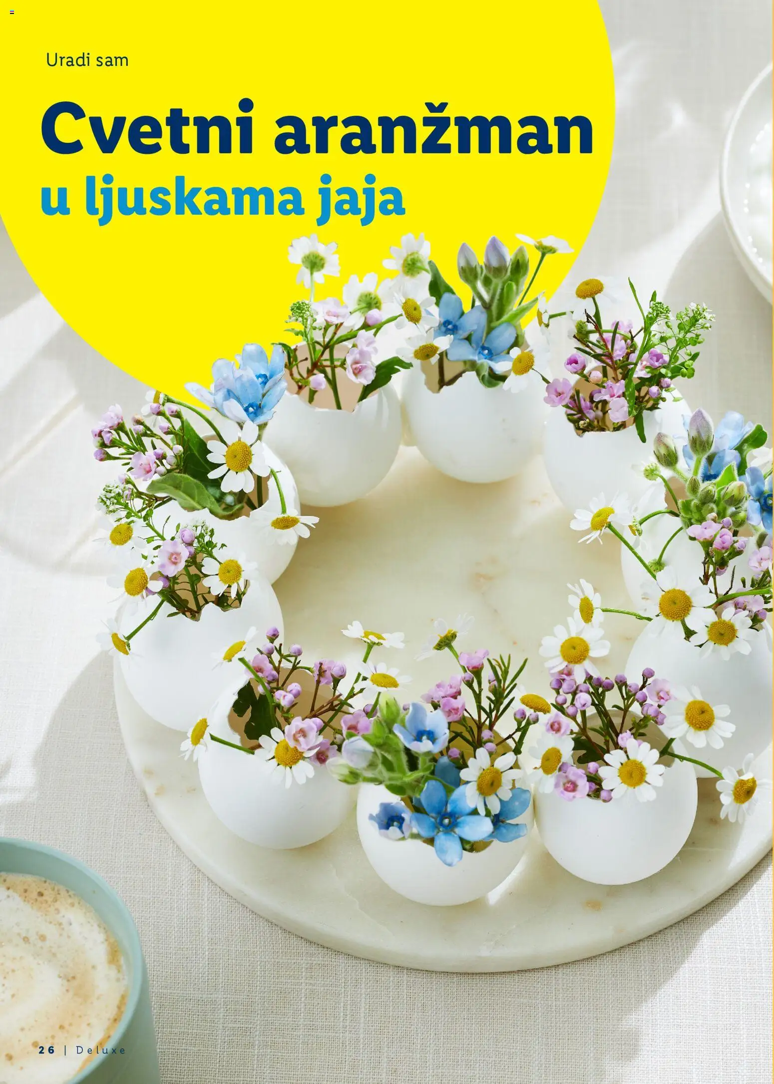 Lidl katalog - važi od 05.03.2026 | Strana: 26 | Proizvode: Jaja