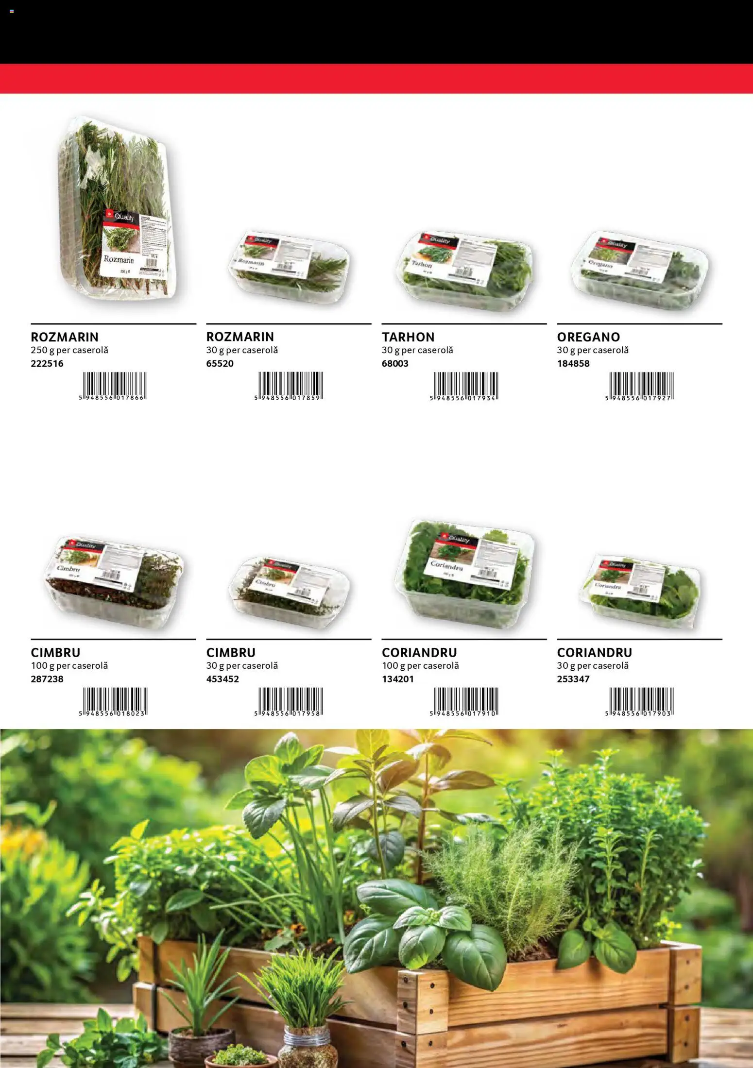 Noul catalog Selgros – valabil de la 30.01.2026 | Pagină: 27