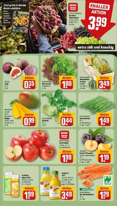 Mango, Sorte: siehe Etikett, Kl. I, je St. – gültig ab 15.09.2025 | Seite: 6