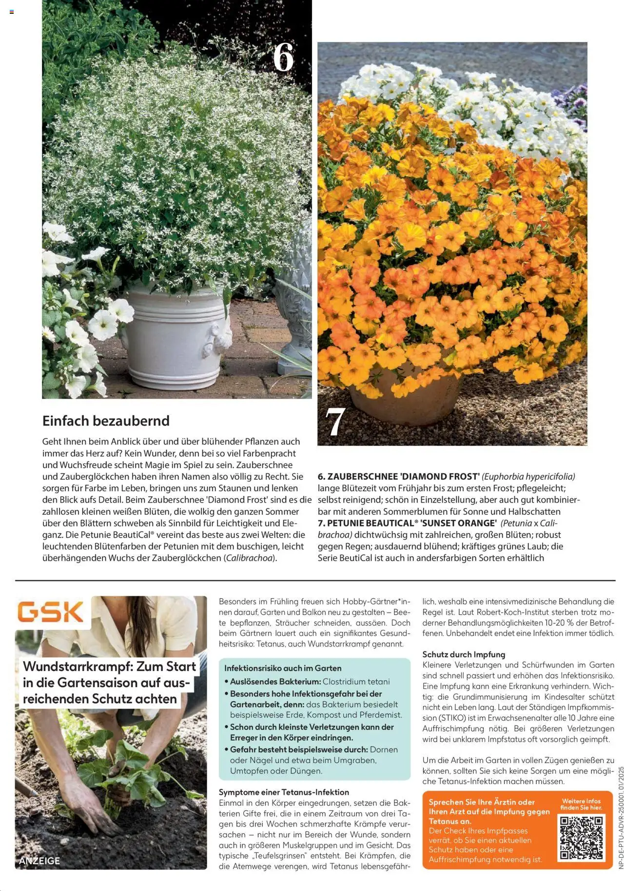 Dehner Flugblatt gültig ab 17.04.2025 | Seite: 25 | Produkte: Spiel