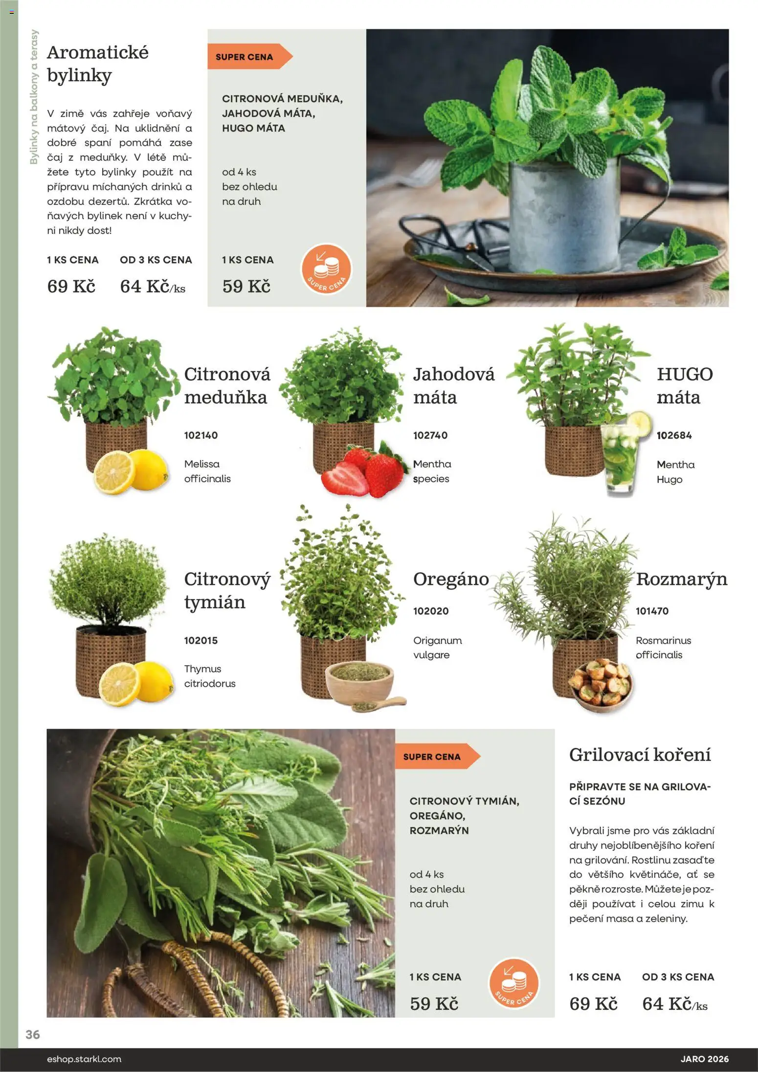 Starkl katalog Jaro 2026 od 25.02.2026 | Strana: 36 | Produkty: Čaj, Koření