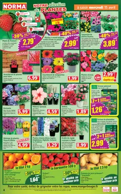 Norma - Prévisualisation de Norma catalogue valide à partir de 15.04.2026 | Page: 4 | Produits: Fraise, Érable du japon, Pommes, Pommes de terre
