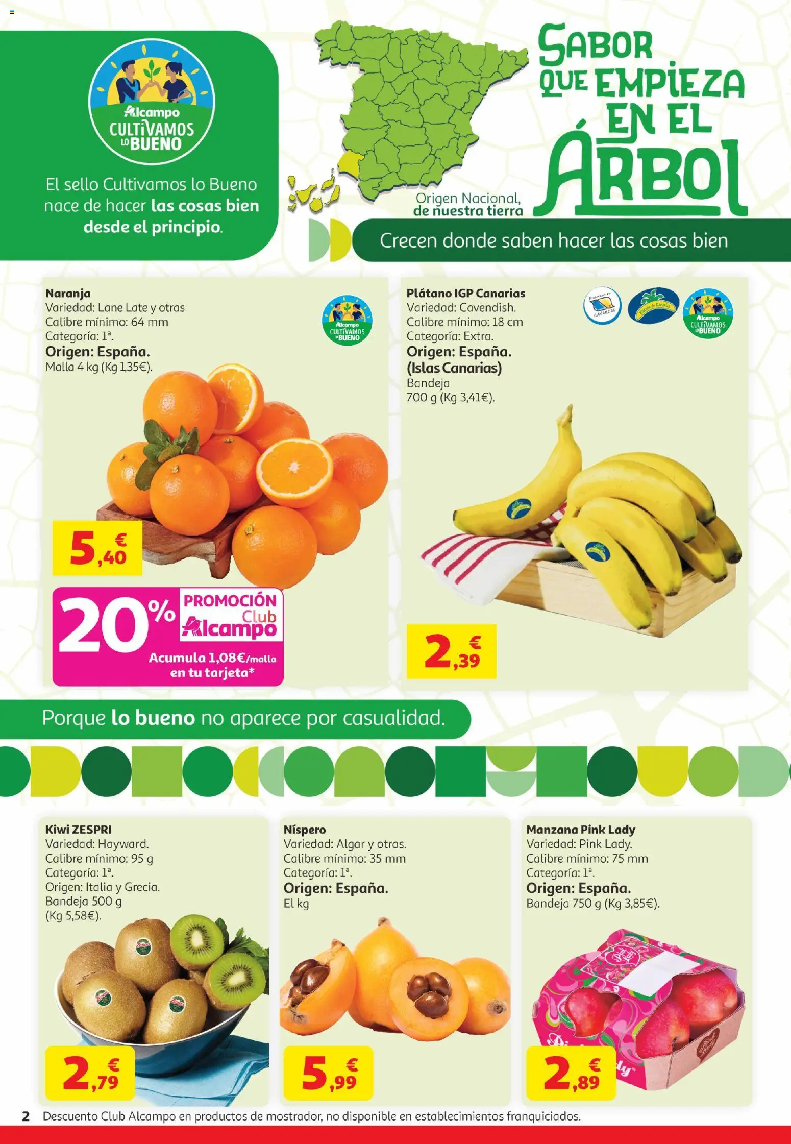 Alcampo Canarias │ válido desde el 21.04.2026 | Página: 2 | Productos: Kiwi, Manzana, Bandeja