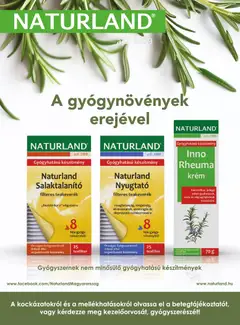 DM Drogerie Markt Active Beauty 2026/02 - amely érvényes a következő dátumtól: 06.02.2026 | Oldal: 36 | Termékek: Tea