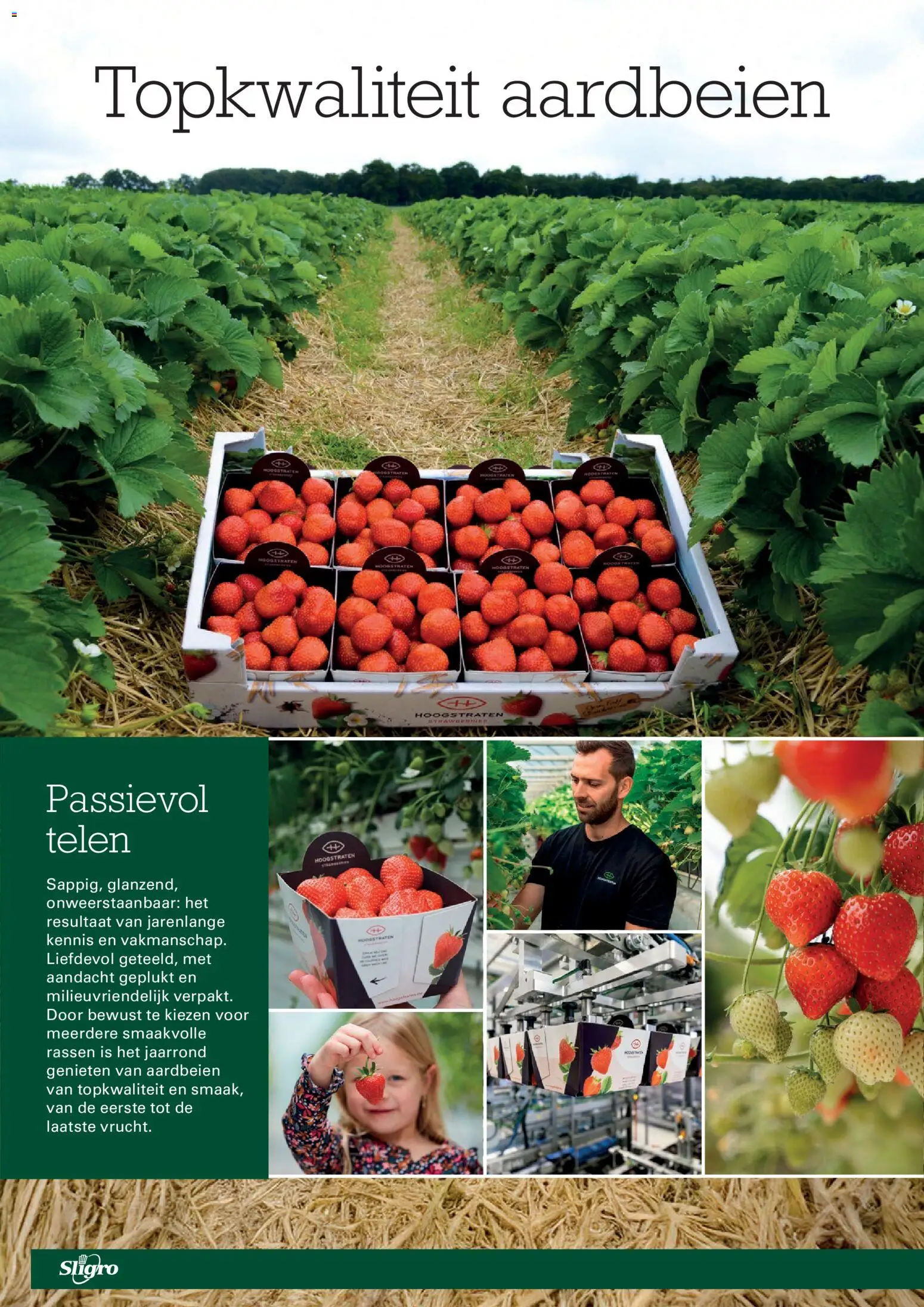 {H1} | Pagina: 50 | Producten: Aardbeien