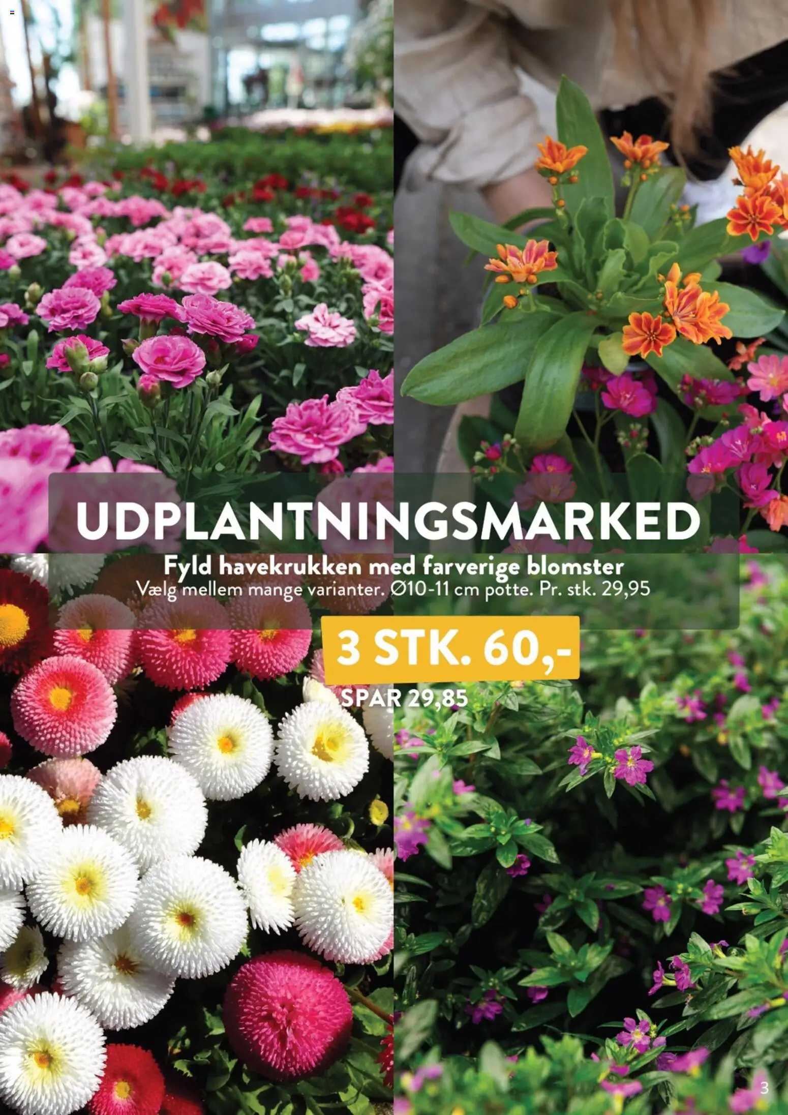 Plantorama tilbudsavis – gyldig fra 27.03.2026 | Side: 3