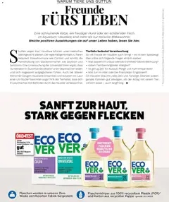 Müller Magazine Lifestyle 6/25 ab 17.11.2025 gültig | Seite: 84 | Produkte: Fisch, Waschpulver, Waschmittel
