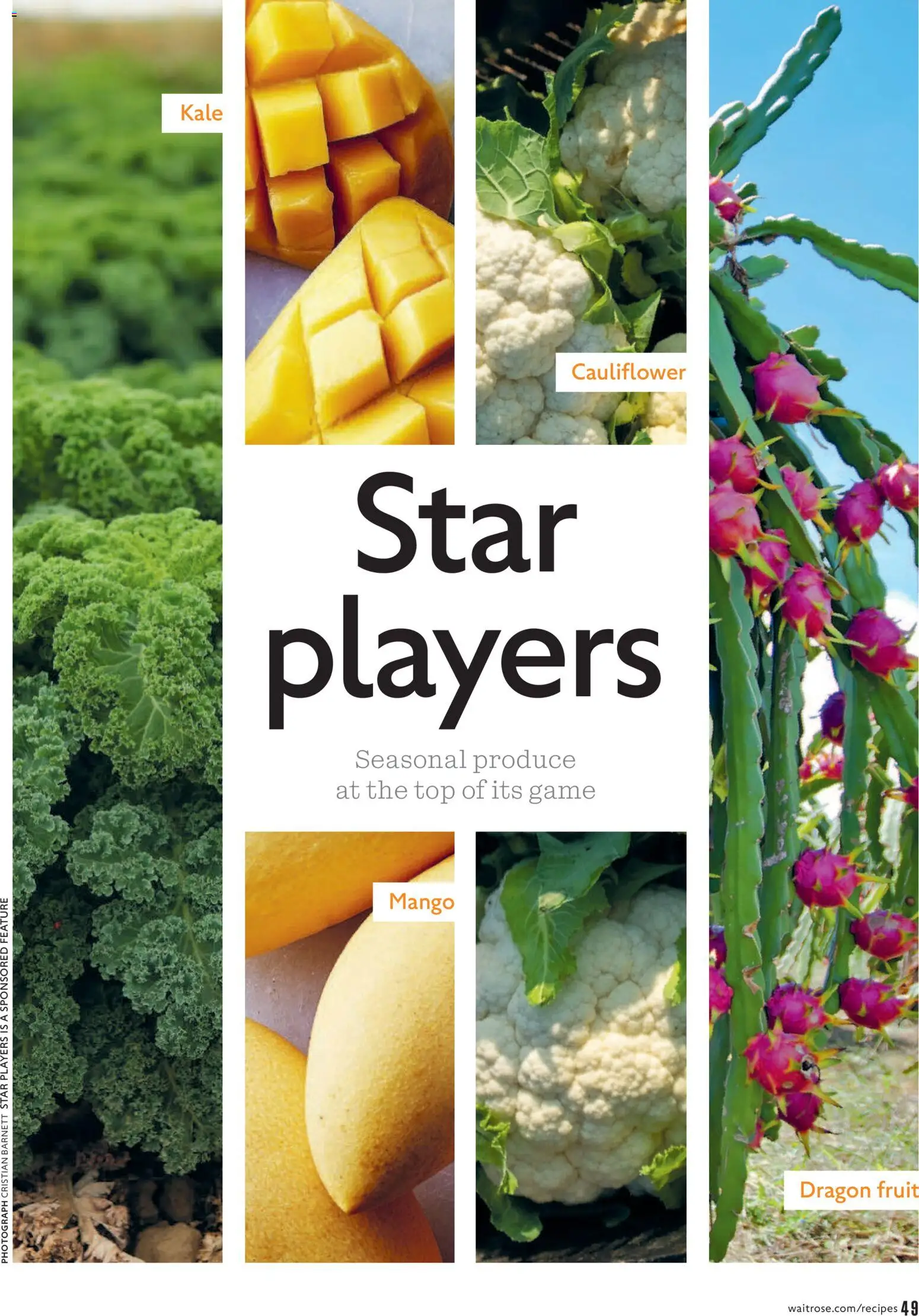 {H1} | Page: 49 | Products: Mango, Sertésköröm