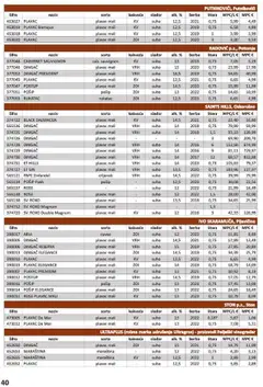 Vrutak - Vinski Katalog - Pregled kataloga iz trgovine Vrutak, vrijedi od 01.11.2024 | Stranica: 40