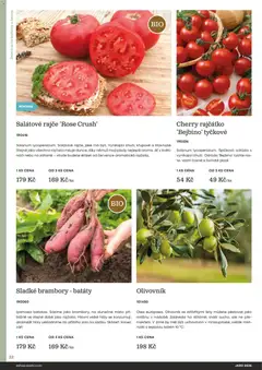 Náhled letáku Starkl katalog Jaro 2026 od 25.02.2026 | Strana: 32