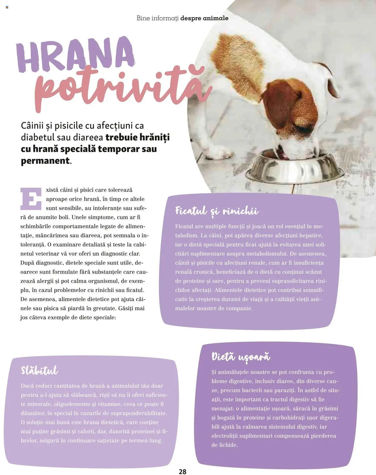 Catalog Fressnapf - Vară – valabil de la 05.05.2025 | Pagină: 28 | Produse: Masaüstü kılıfı