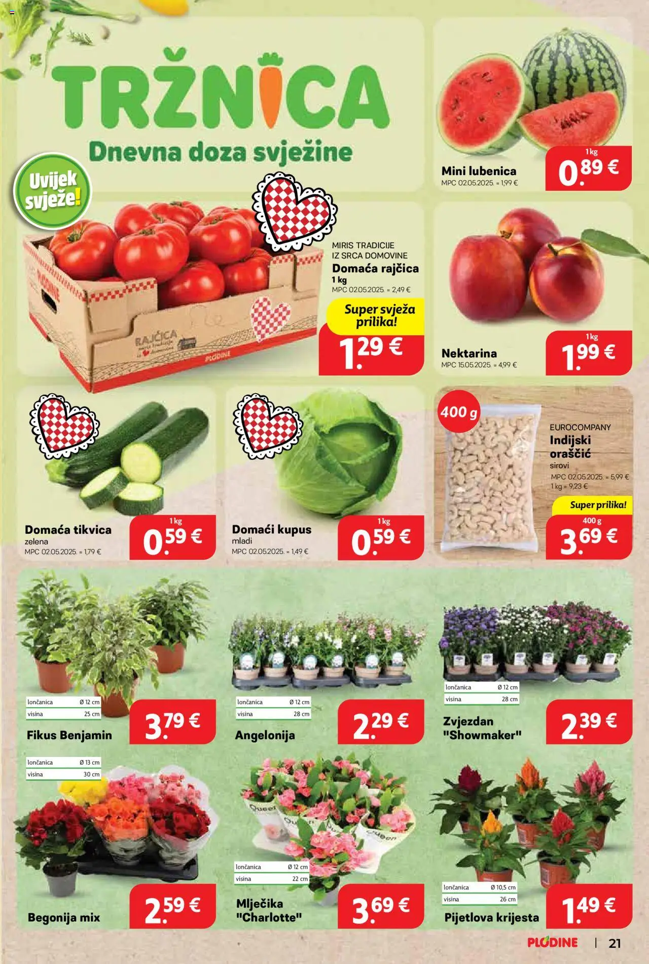 Plodine katalog | vrijedi od 18.06.2025 | Stranica: 21 | Proizvodi: Kupus, Nektarina, Lubenica, Rajčica