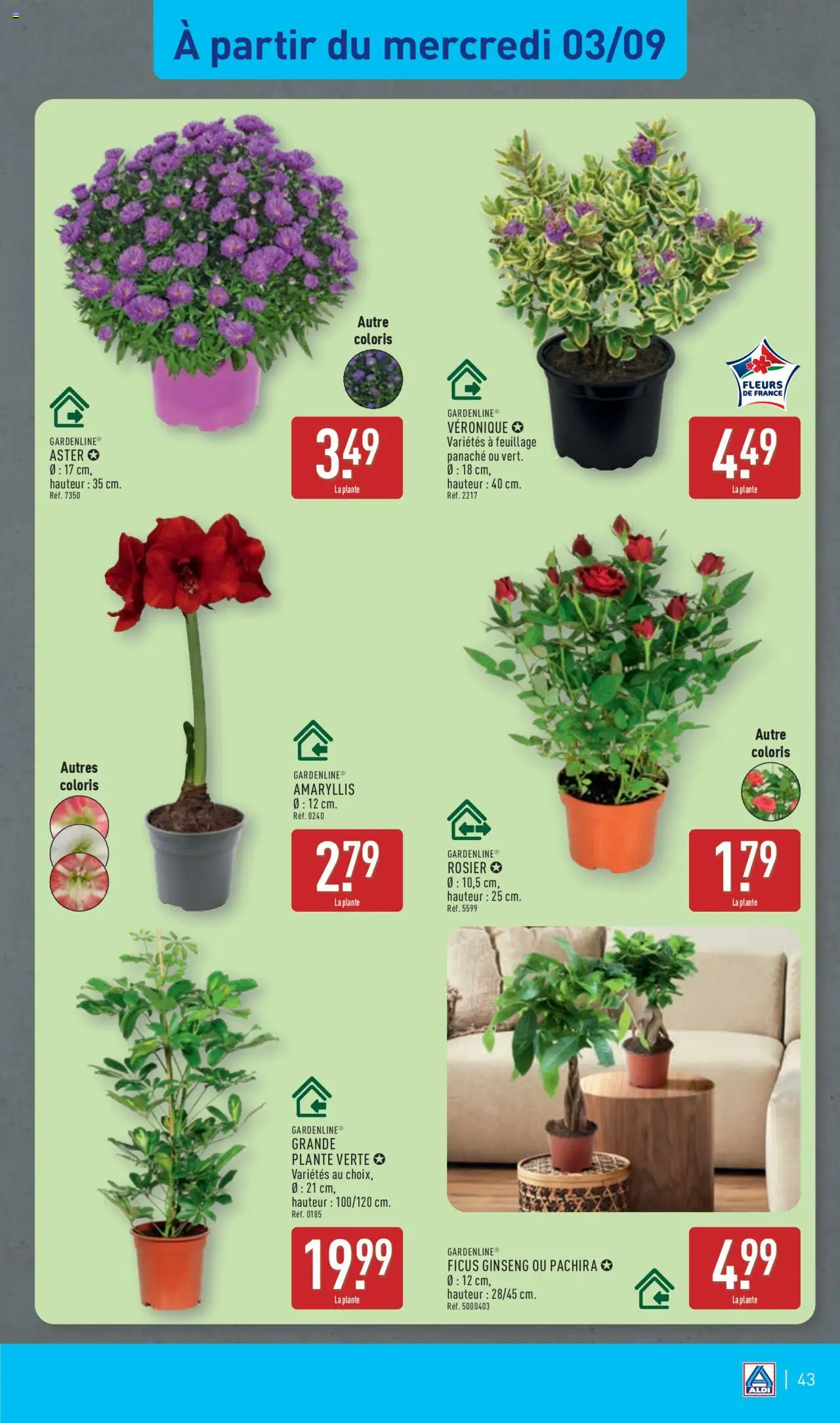  | Page: 46 | Produits: Rosier, Plante verte