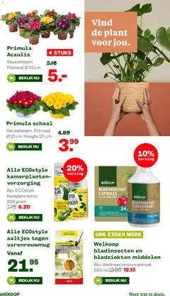 Welkoop - Folder - Voorbeeld van een folder van Welkoop, geldig van 19.01.2026 | Pagina: 15 | Producten: Schaal, Kamerplanten, Poeder