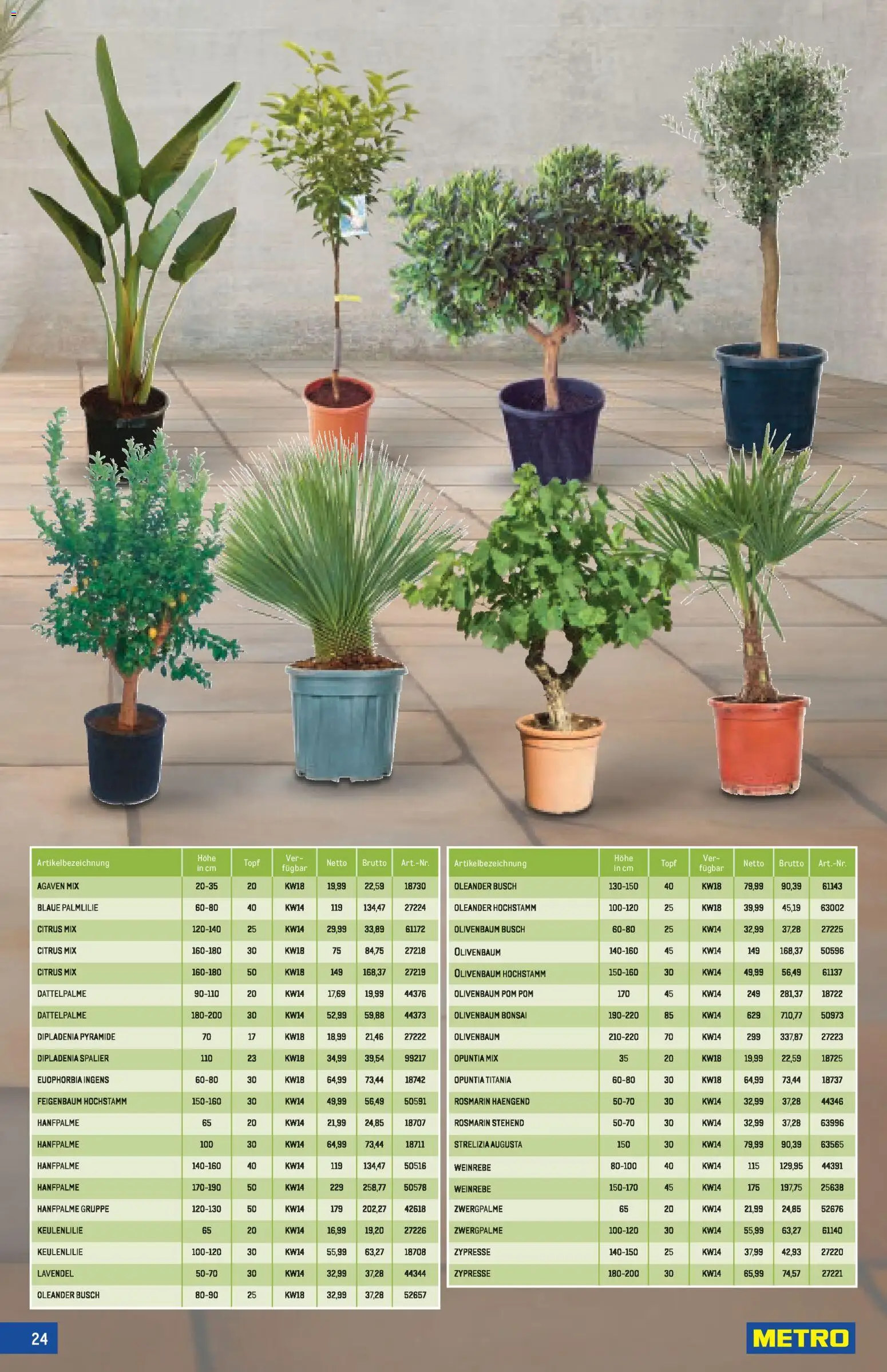 Metro angebote Garten Spezial MP08 gültig ab 02.04.2026 | Seite: 24