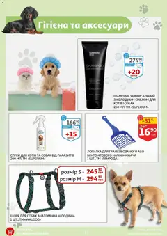 Ашан акції дійснийкції з 11.03.2026 | Сторінка: 13 | Товари: Шампунь, Лопатка