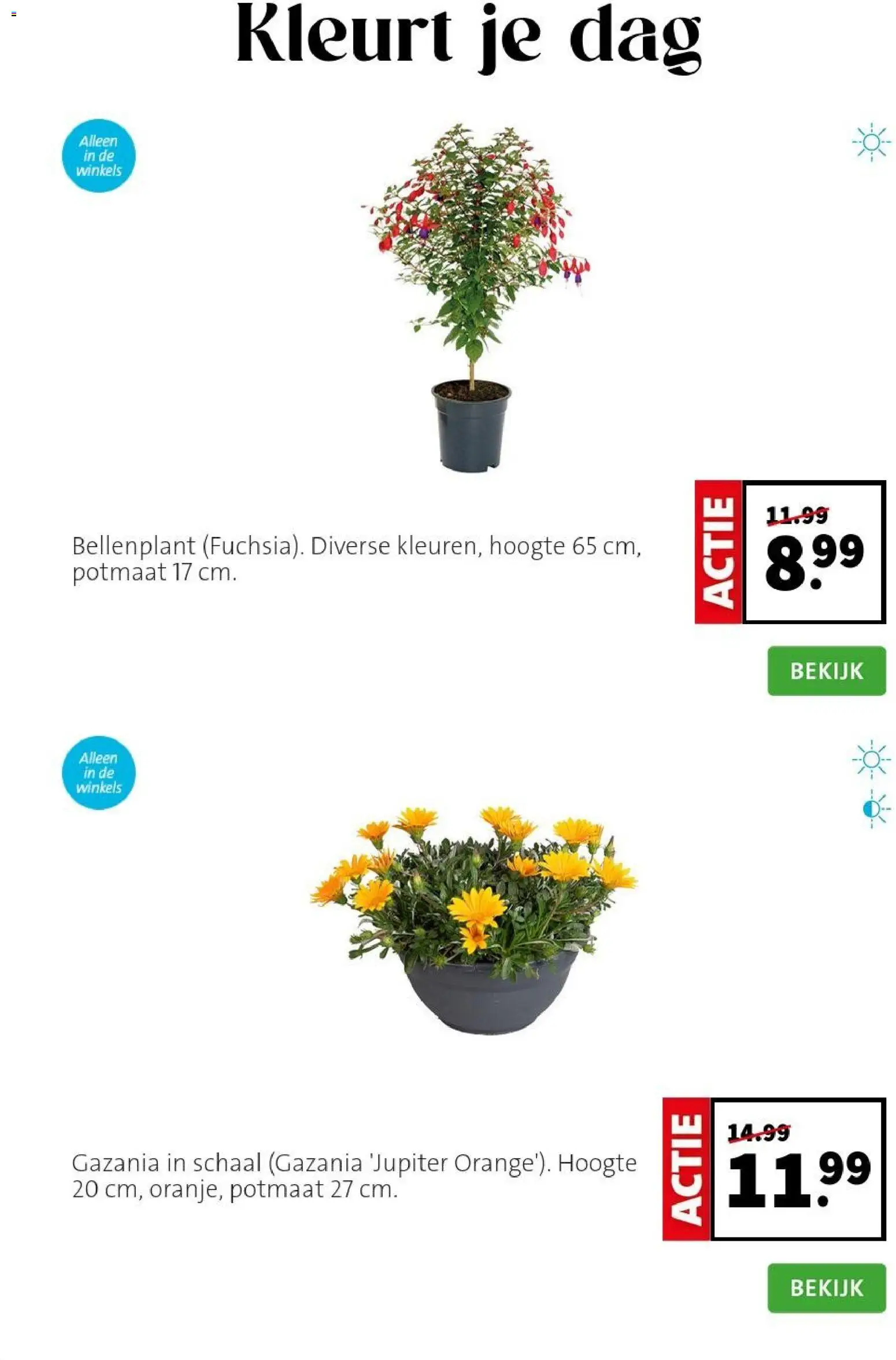 {H1} | Pagina: 4 | Producten: Schaal