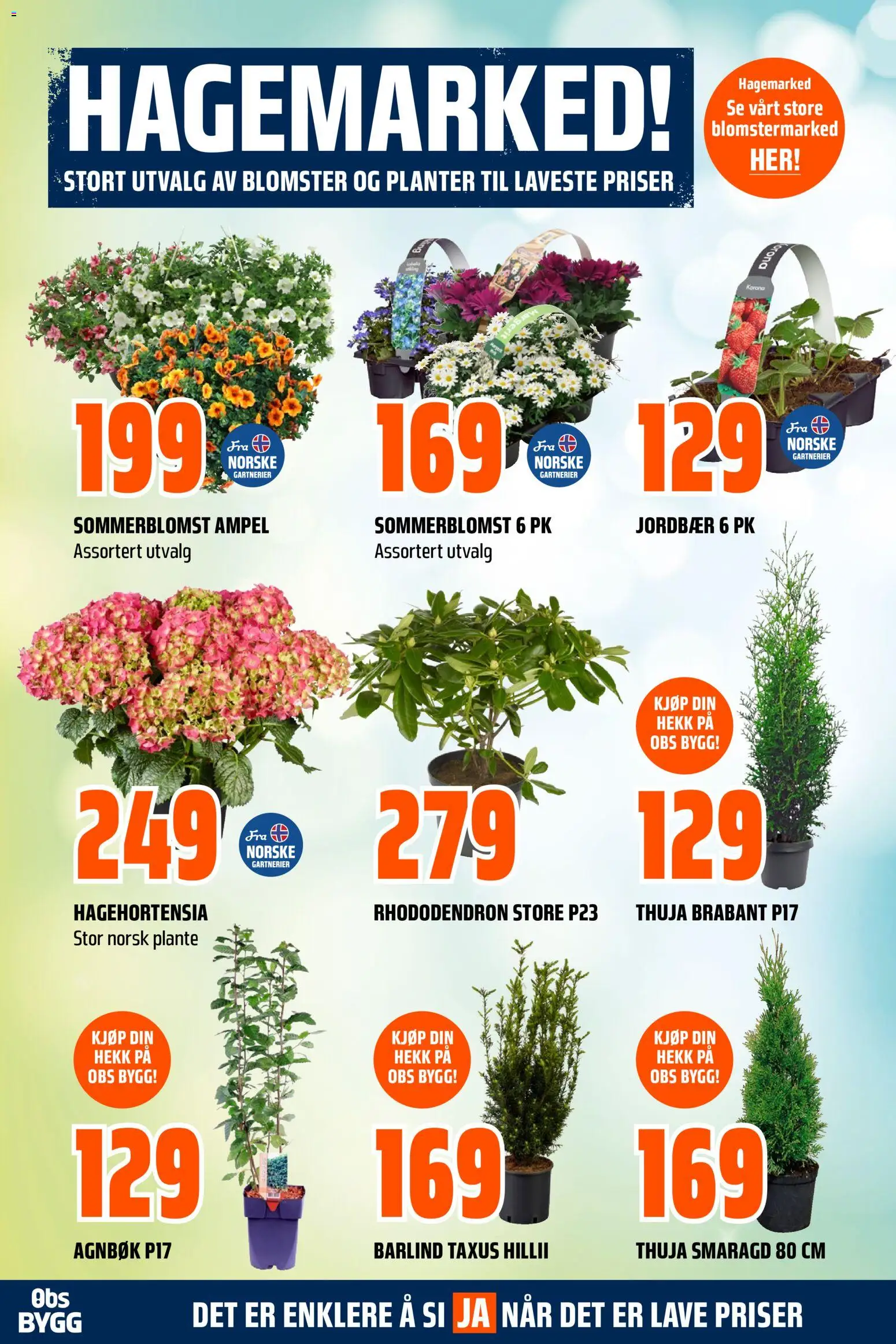 {H1} | Side: 30 | Produkter: Будівельні суміші, Jordbær, Cremă pentru față