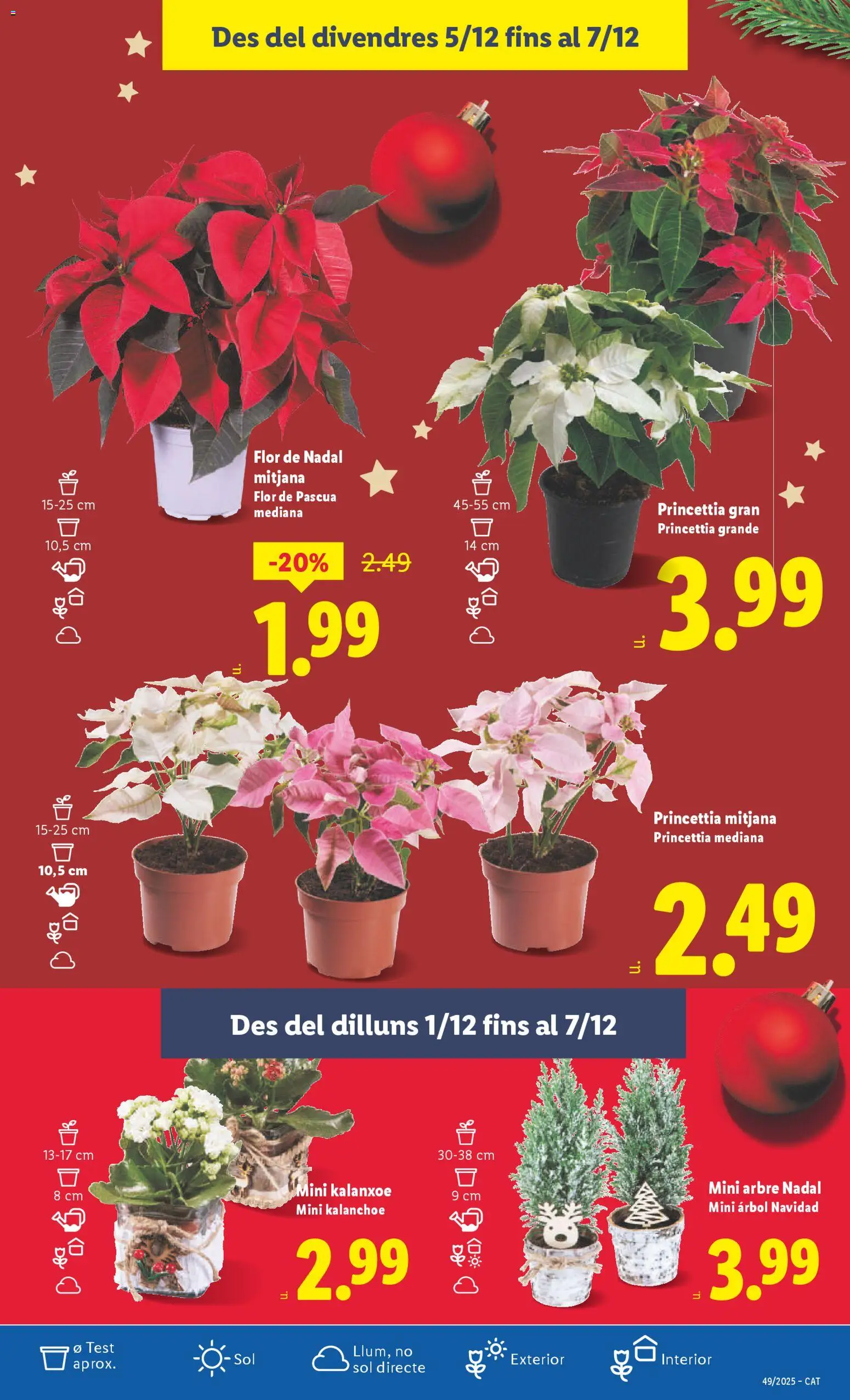 Lidl folleto │ válido desde el 01.12.2025 | Página: 53