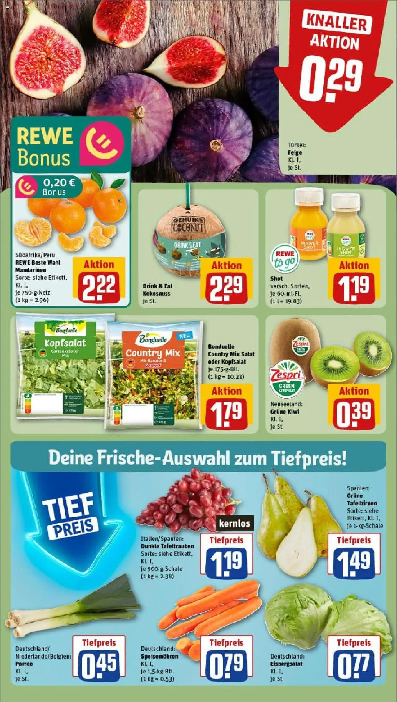 Rewe prospekt Borgentreich	 – gültig ab 21.09.2025 | Seite: 10 | Produkte: Mandarinen, Eisbergsalat, Kiwi, Salat