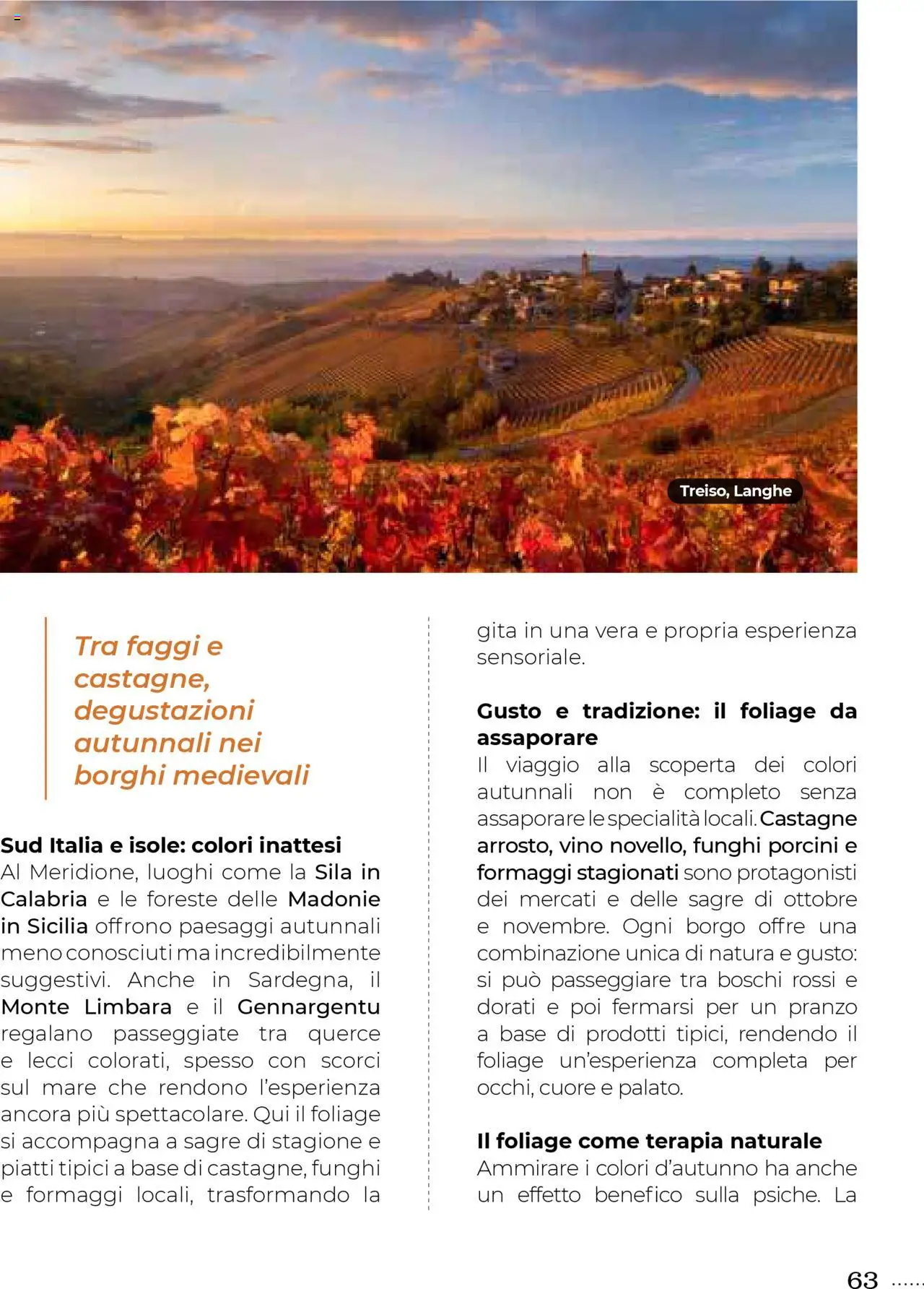Volantino Gulliver del 01.10.2025 | Pagina: 63 | Prodotti: Vino, Funghi