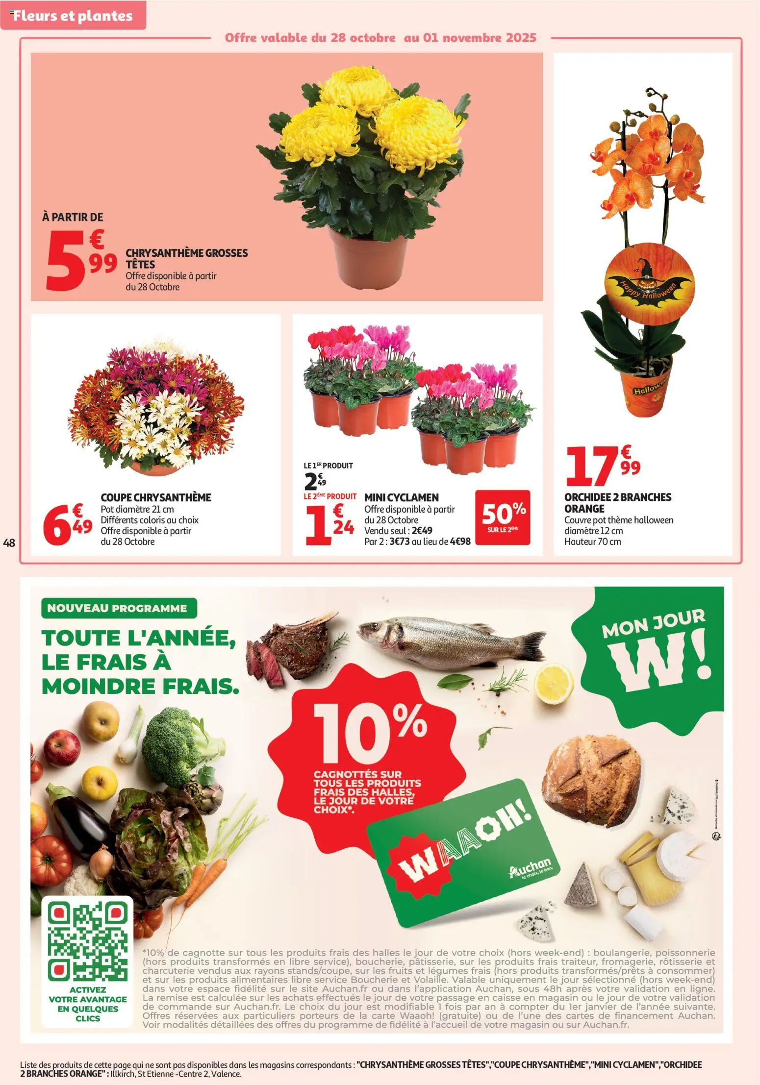 {H1} | Page: 48 | Produits: Poissonnerie, Chrysanthème, Fleurs et plantes, Orchidée