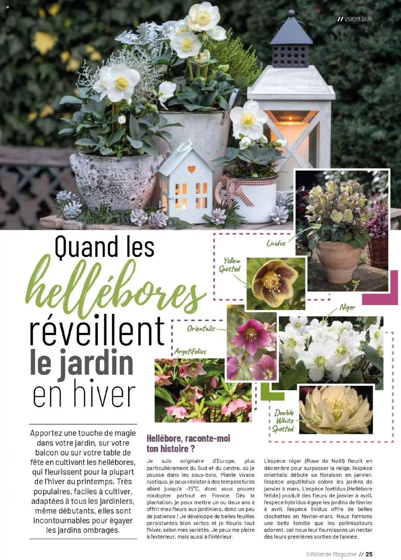 {H1} | Page: 25 | Produits: Mais, Table, Magazine