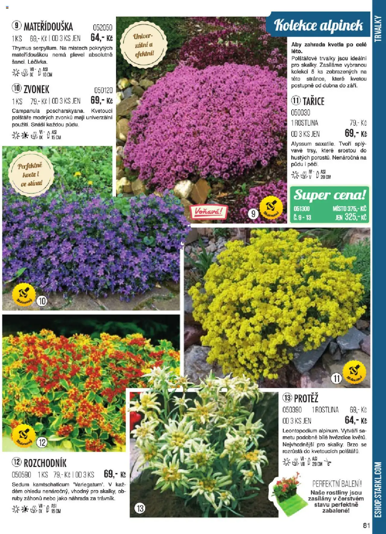 Starkl katalog jaro 2024 od 06.01.2025 | Strana: 81 | Produkty: Polštáře, Zahrada, Rostliny, Zvonek