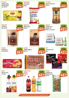 08.04.2026 tarihinden itibaren geçerli olan Biçen Market kataloğu önizlemesi | Sayfa: 4