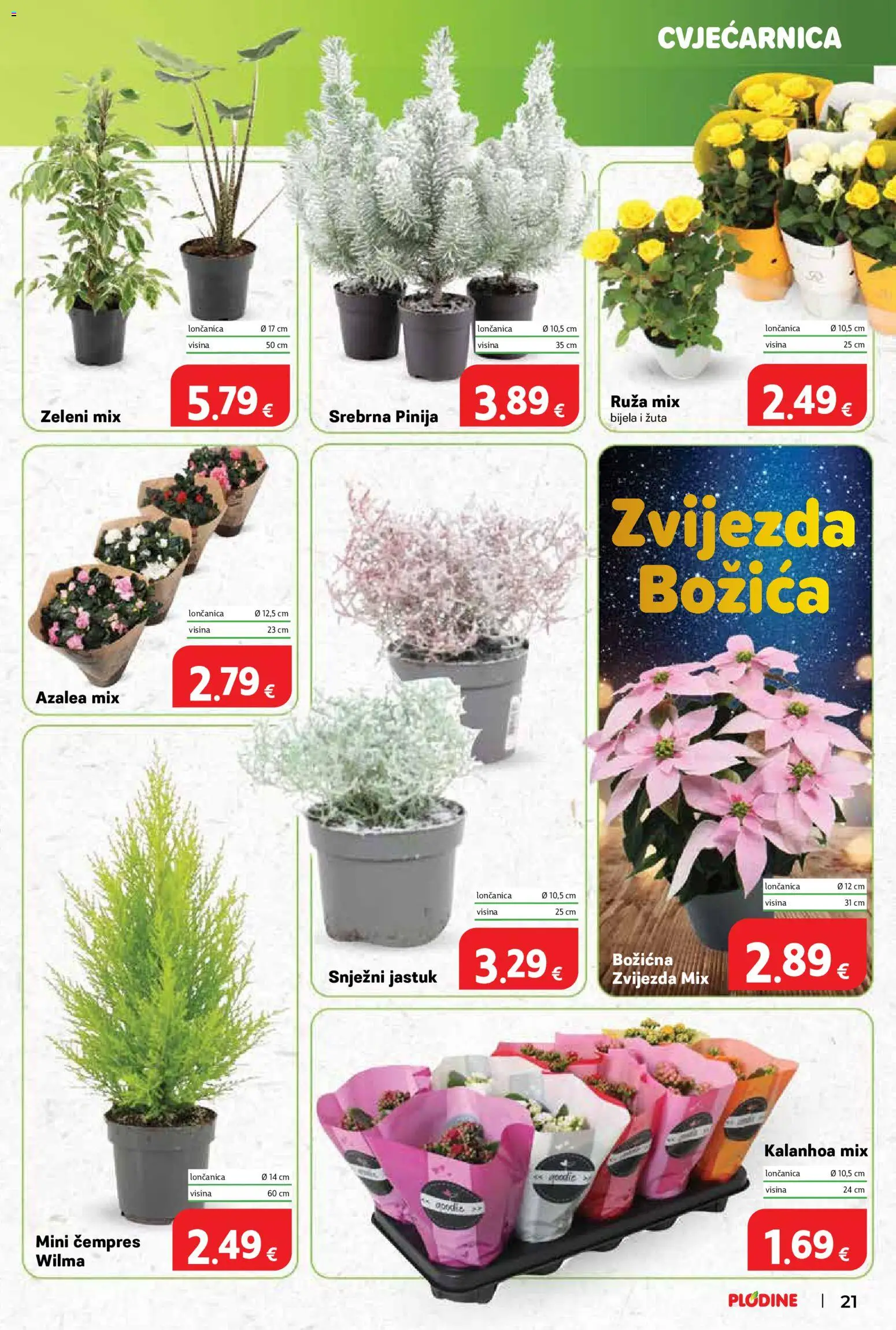 Plodine katalog | vrijedi od 05.11.2025 | Stranica: 21 | Proizvodi: Jastuk