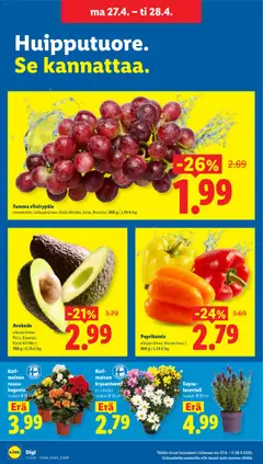 Lidl-mainoslehti voimassa 23.04.2026 alkaen | Sivu: 25 | Tuotteet: Avokado