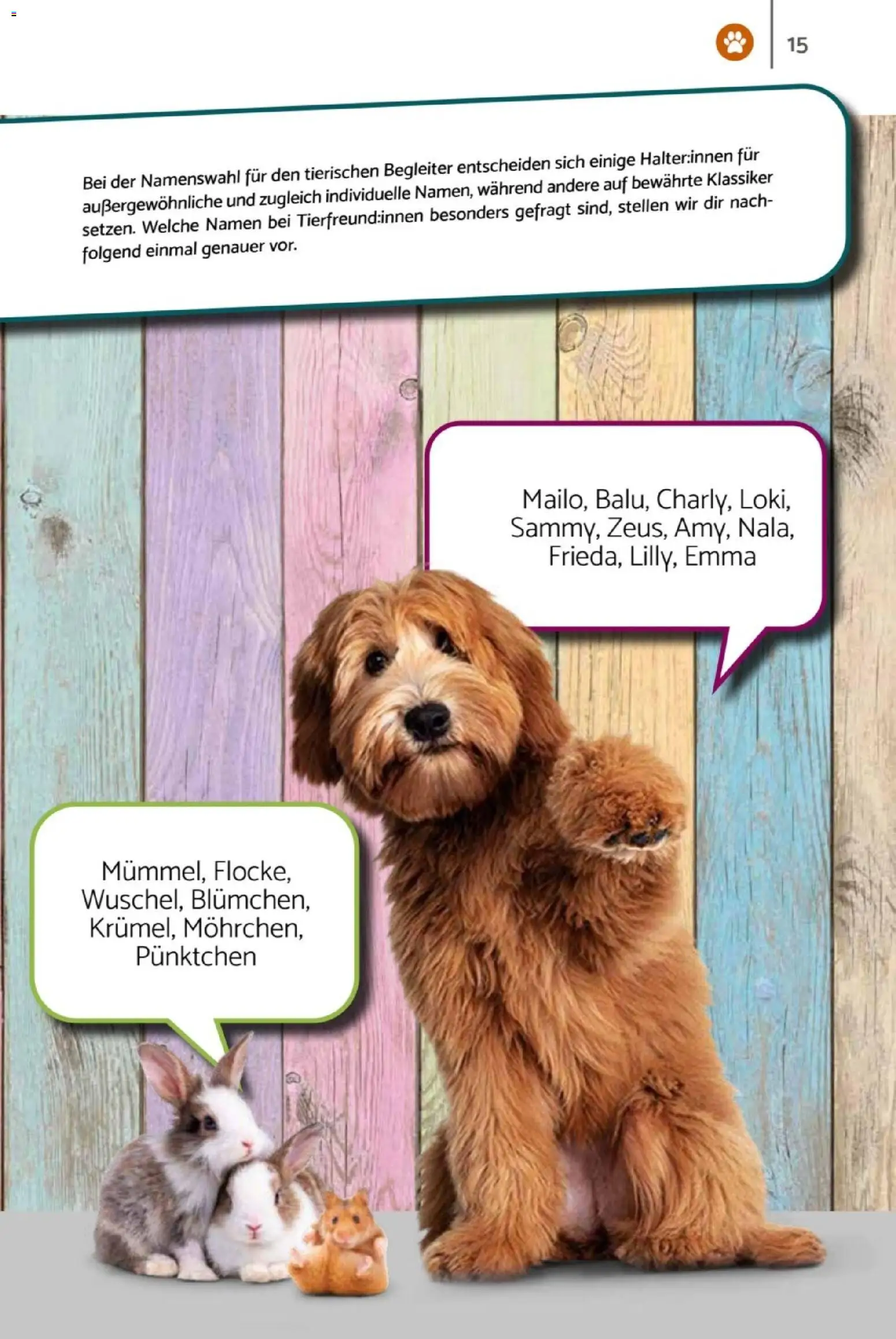 zookauf  Heimtier Journal – gültig ab 01.02.2026 | Seite: 15