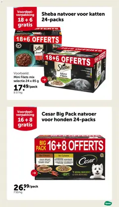 Aveve folder - Voorbeeld van een folder van Aveve, geldig van 10.12.2025 | Pagina: 6 | Producten: Zalm, Saus, Kip, Groenten