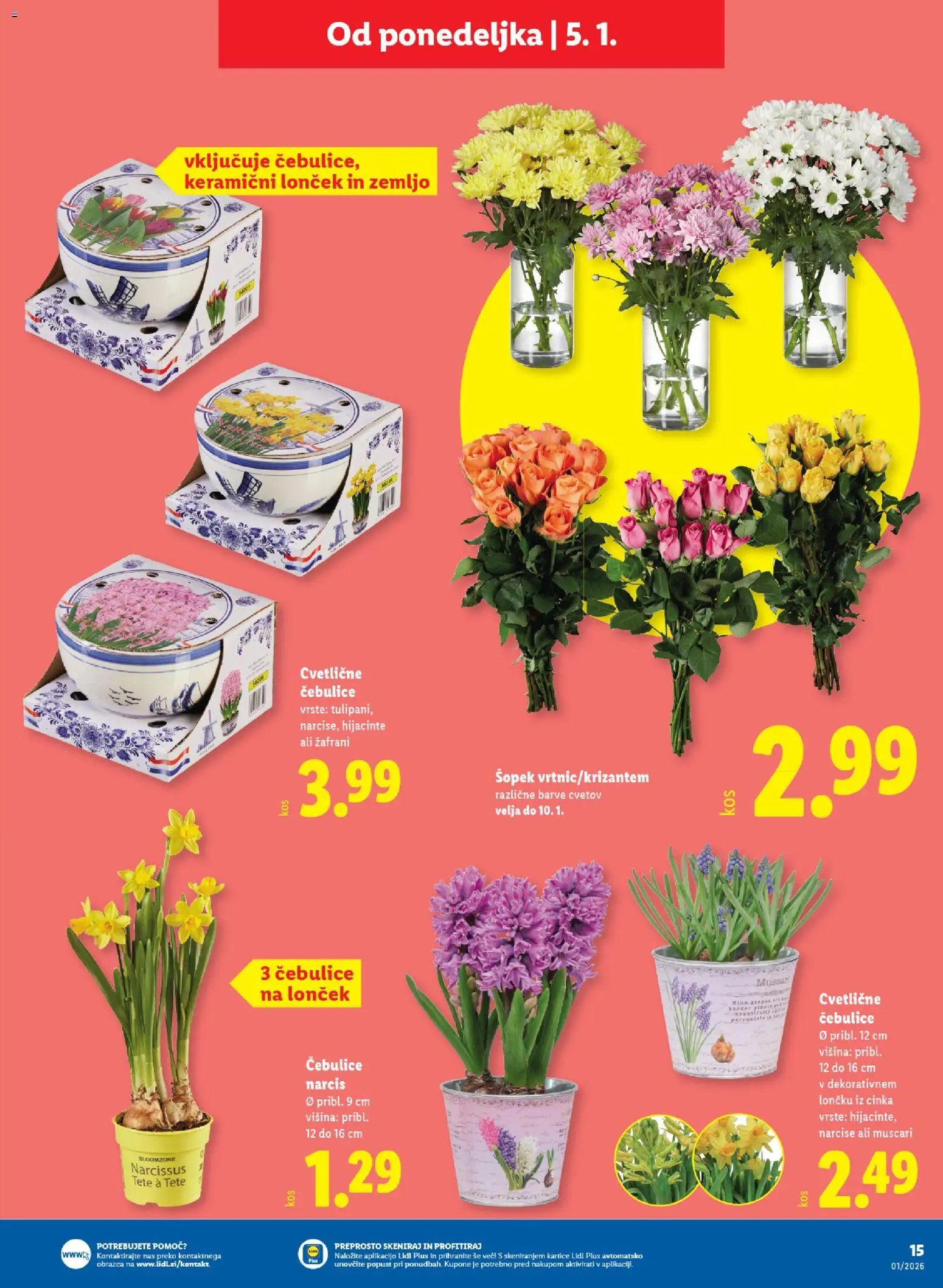 Novi Lidl katalog ponudbe – veljaven od 30.12.2025 | Stran: 19 | Izdelki: Šopek