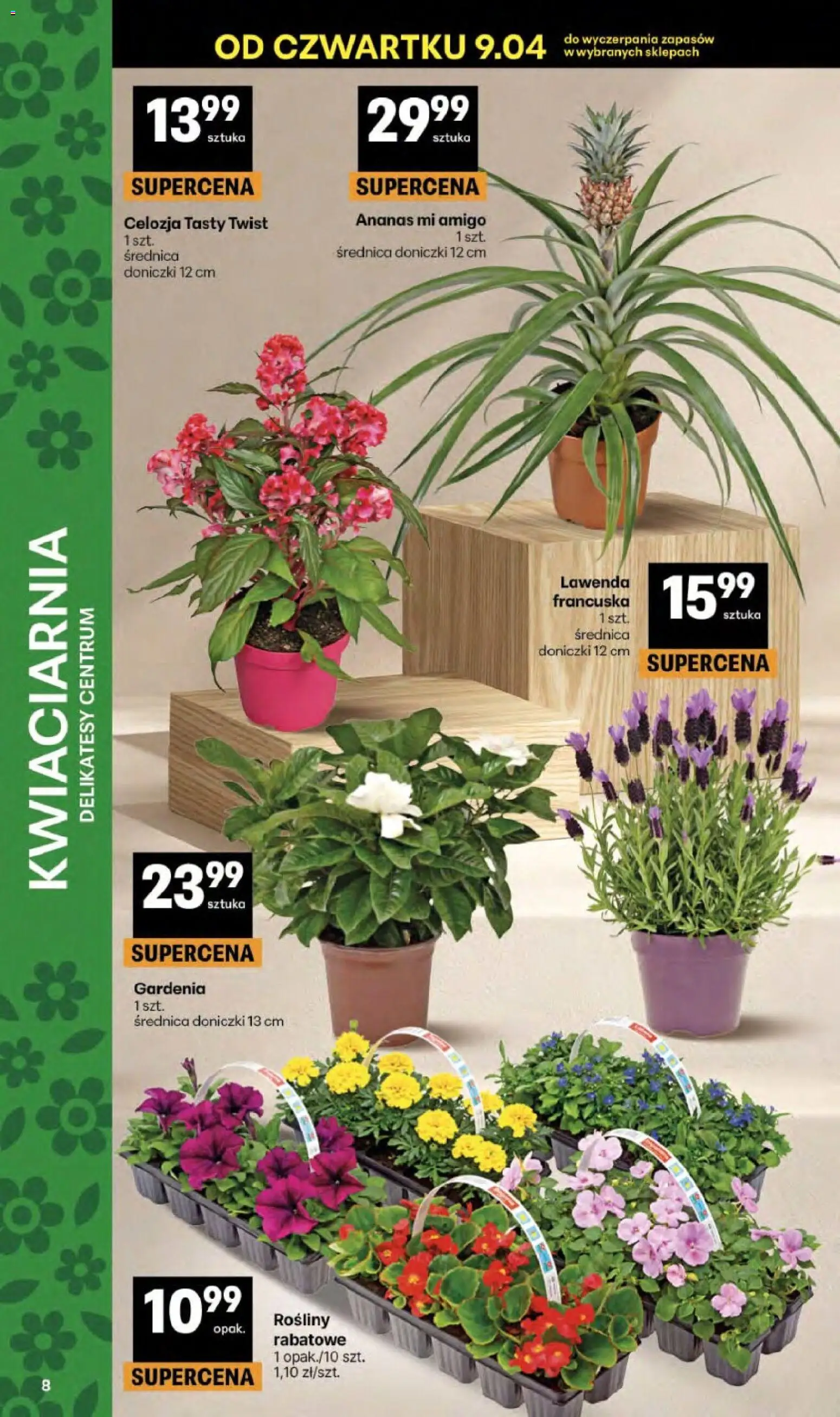 Delikatesy Centrum gazetka od 09.04.2026 | Strona: 8 | Produkty: Delikatesy, Rosliny, Doniczki, Ananas