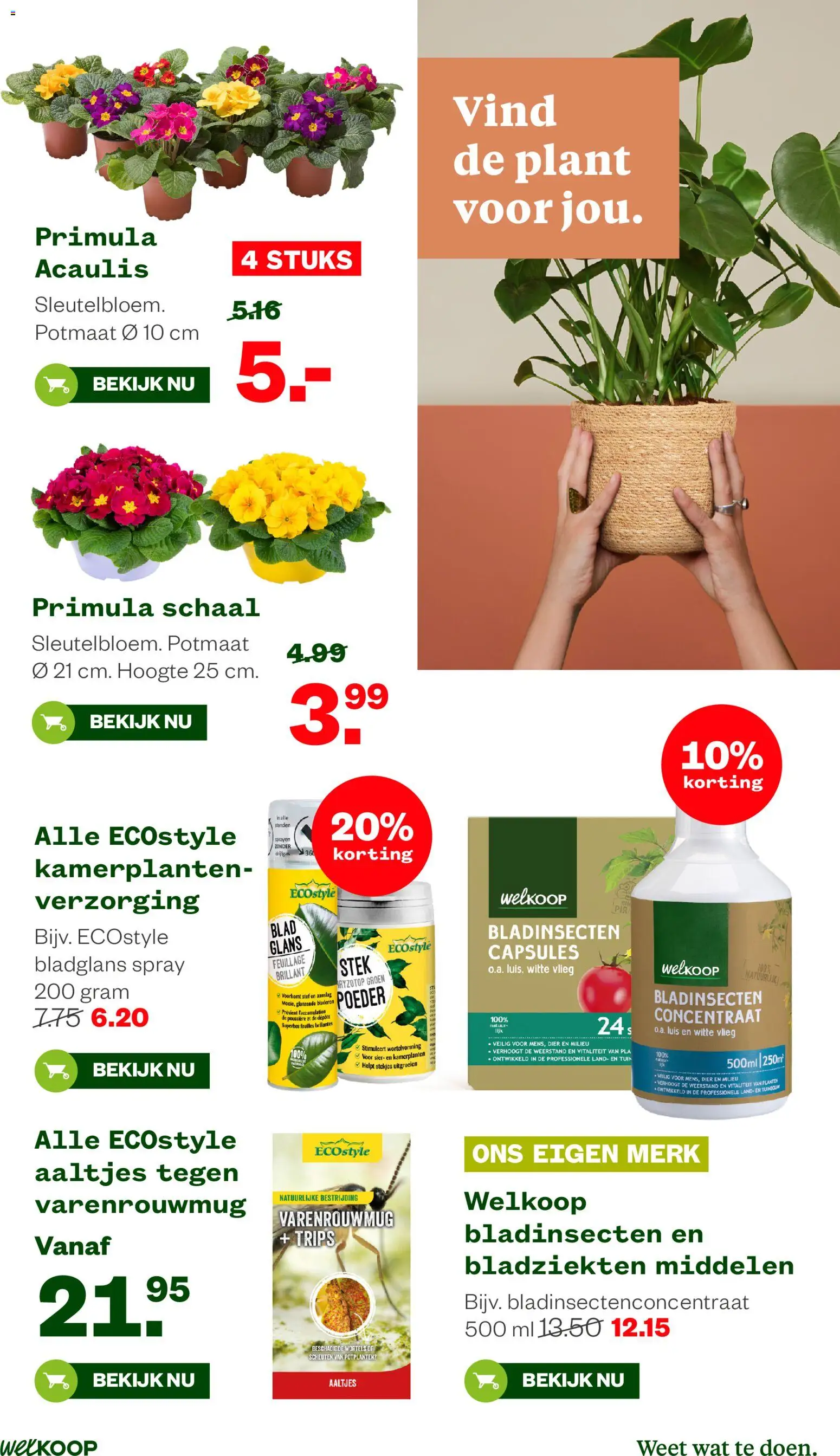 {H1} | Pagina: 15 | Producten: Schaal, Kamerplanten, Poeder